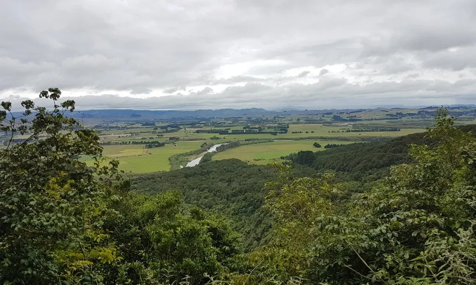 Manawatu Gorge Track, Manawatu - Wanganui