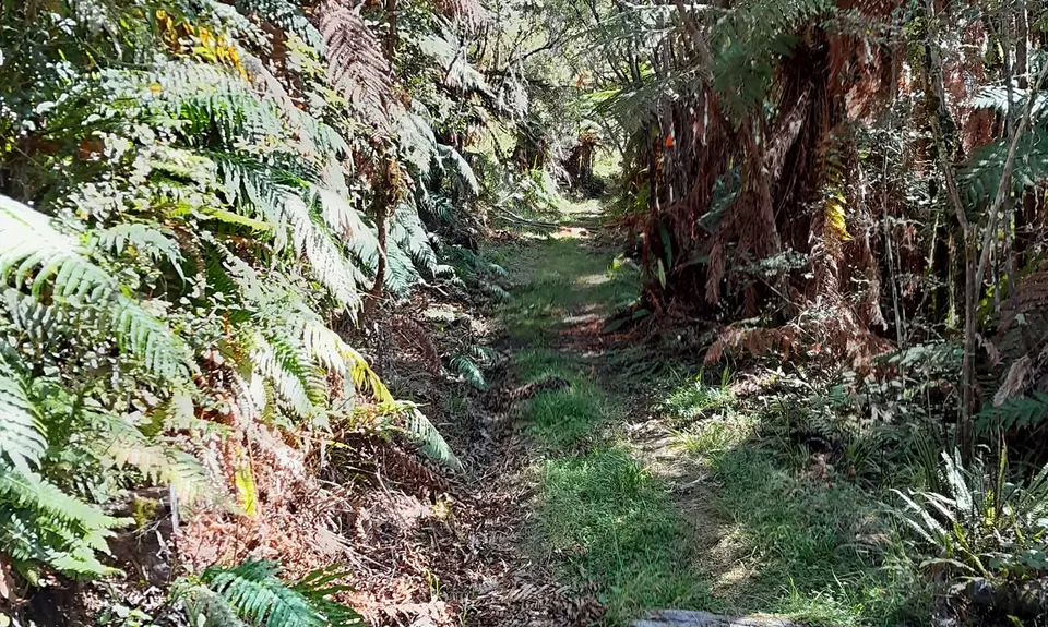 Earth Bound Misfit, Taranaki
