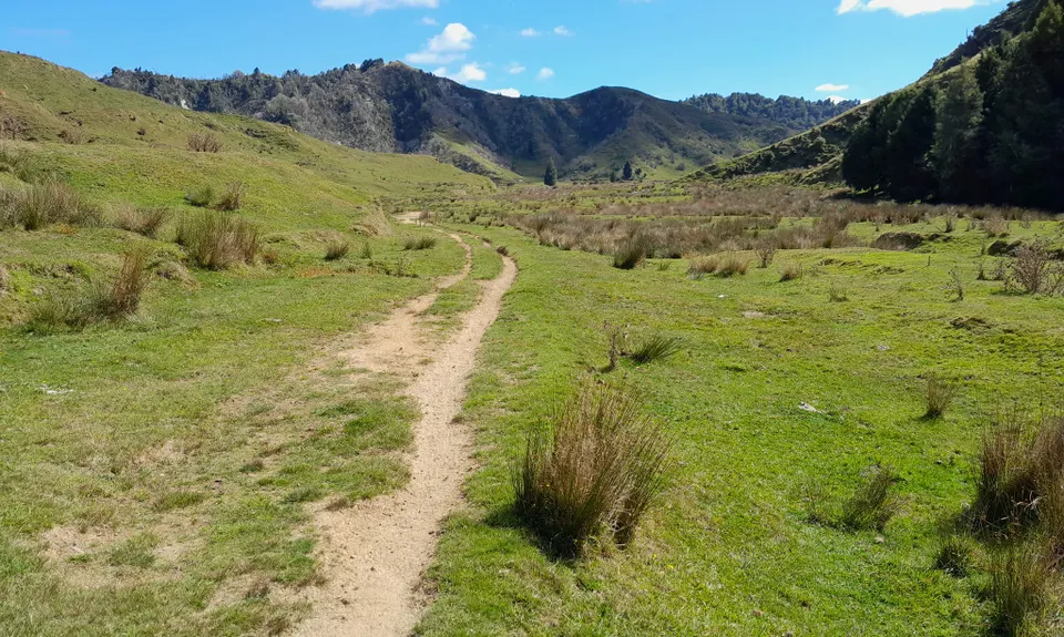 Earth Bound Misfit, Taranaki