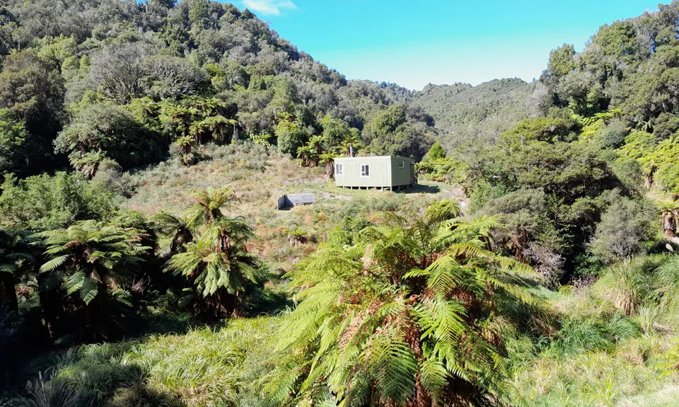 Earth Bound Misfit, Taranaki