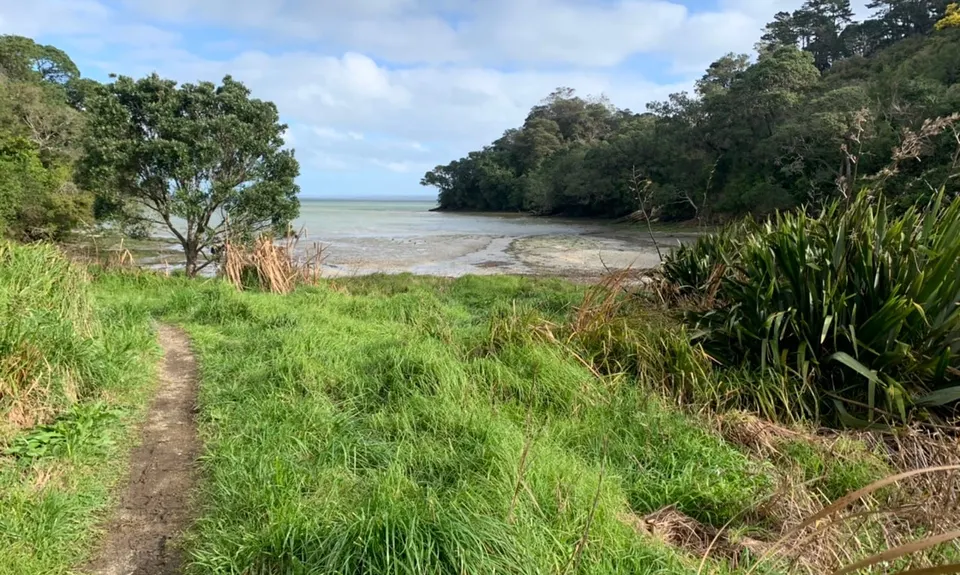 Waikowhai Stairs, Bush & Beach, Auckland