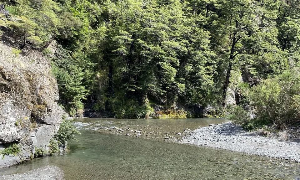 Jollie Brook Loop, Canterbury
