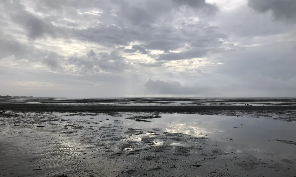 Farewell Spit Loop, Tasman