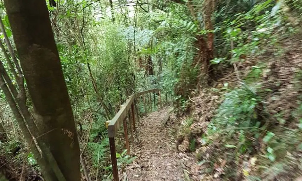 Sledge Track with Toetoe Loop & Otangane Loop, Manawatu - Wanganui