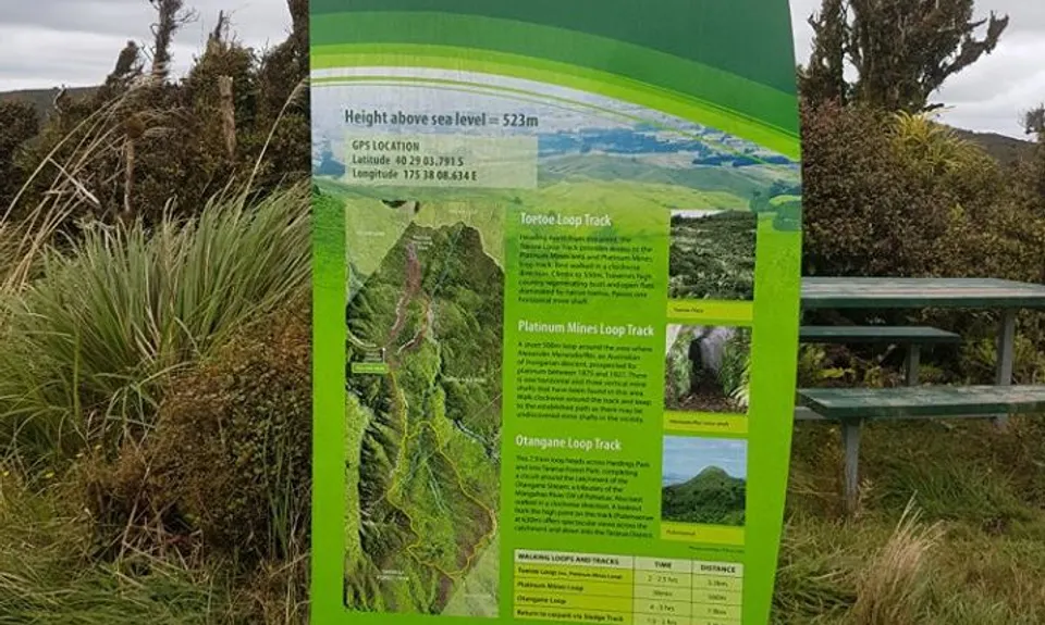 Sledge Track with Toetoe Loop & Otangane Loop, Manawatu - Wanganui