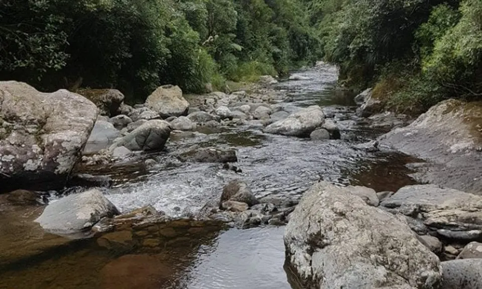 Sledge Track with Toetoe Loop & Otangane Loop, Manawatu - Wanganui