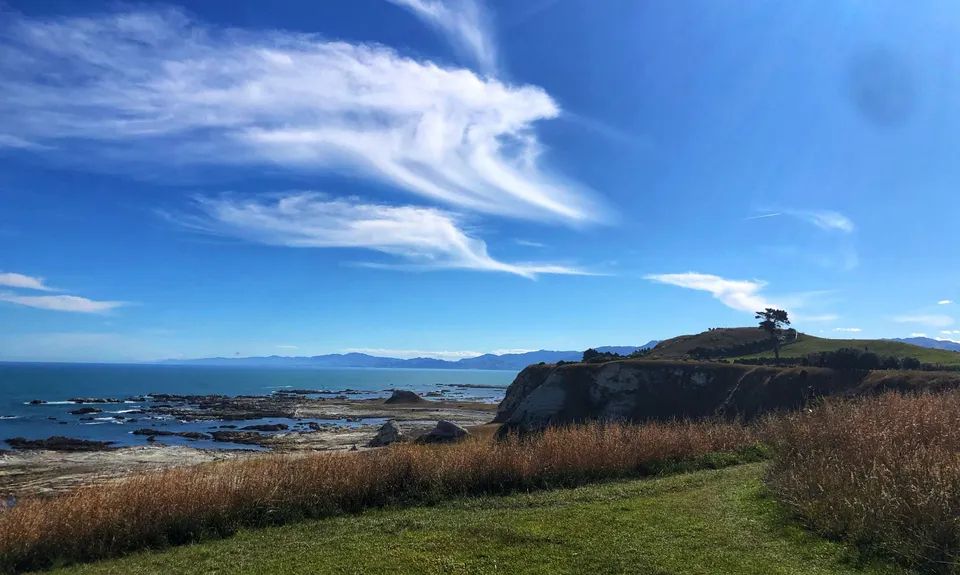 Kaikoura Cracker, Canterbury