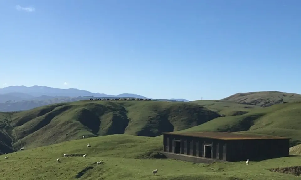 Puke Ariki Traverse, Wellington