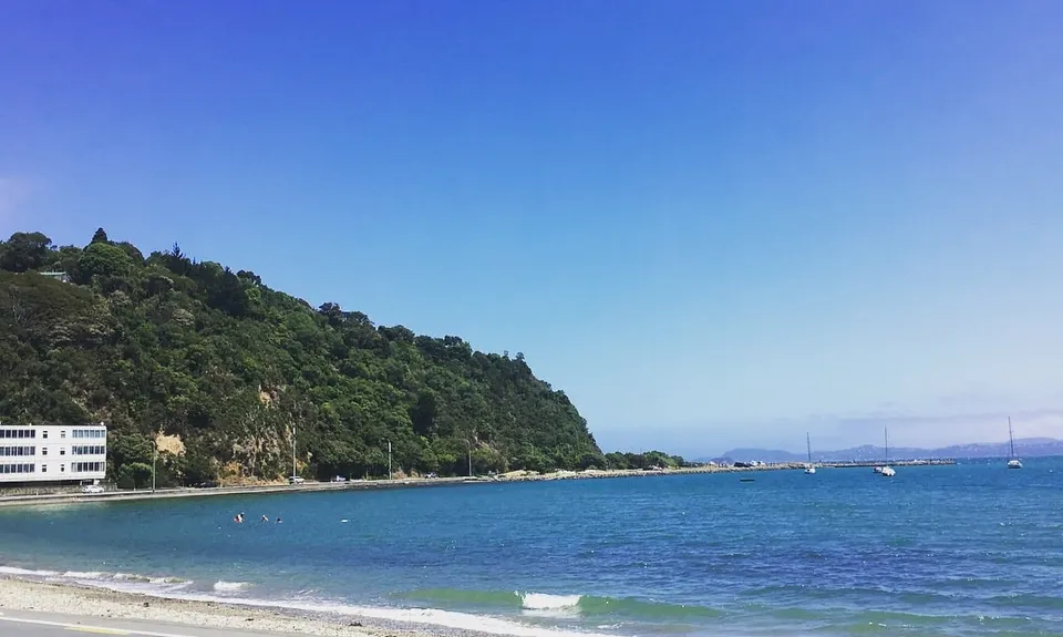 Eastbourne Ridge Loop, Wellington