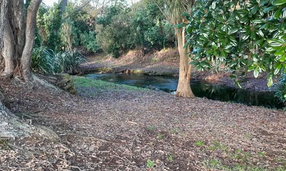 Nga Puke e Rima o Pukekohe, Auckland