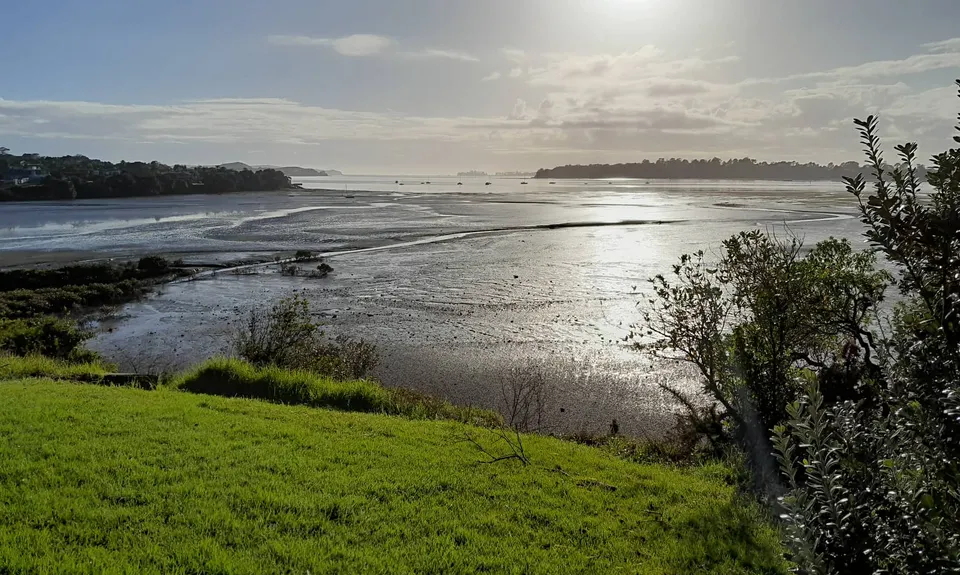 Te Ara ki Uta ki Tai, Auckland
