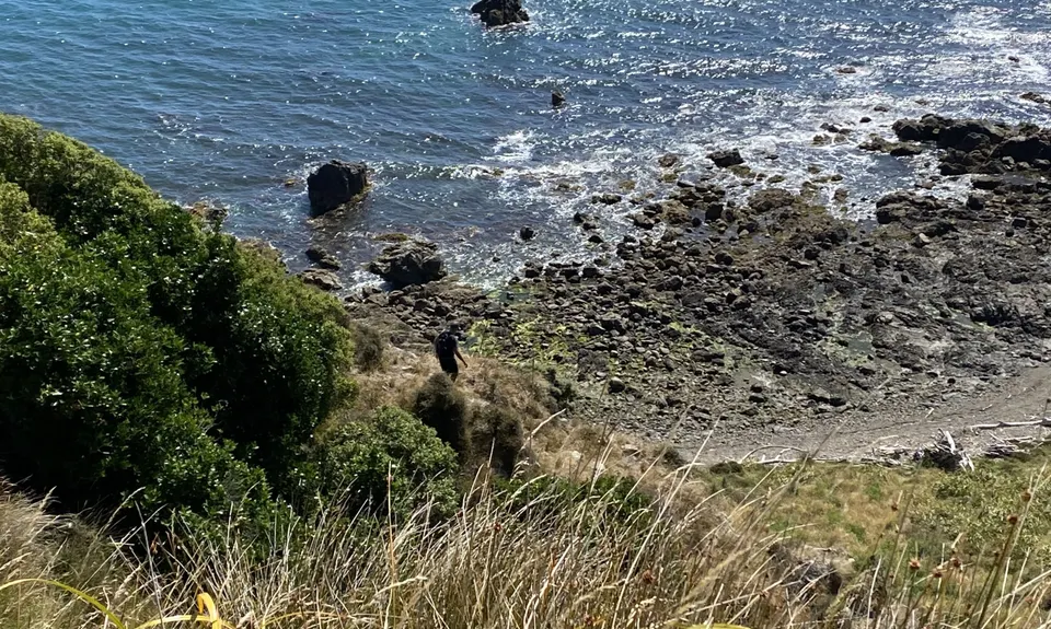 Pukerua Scenic Tua, Wellington