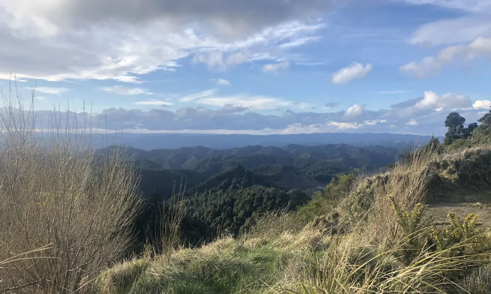 Waitahinga Dam Loop, Manawatu - Wanganui