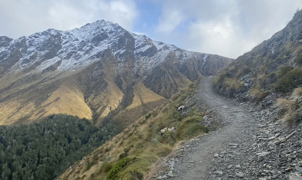 Ben Lomond via Tiki Trail, Otago