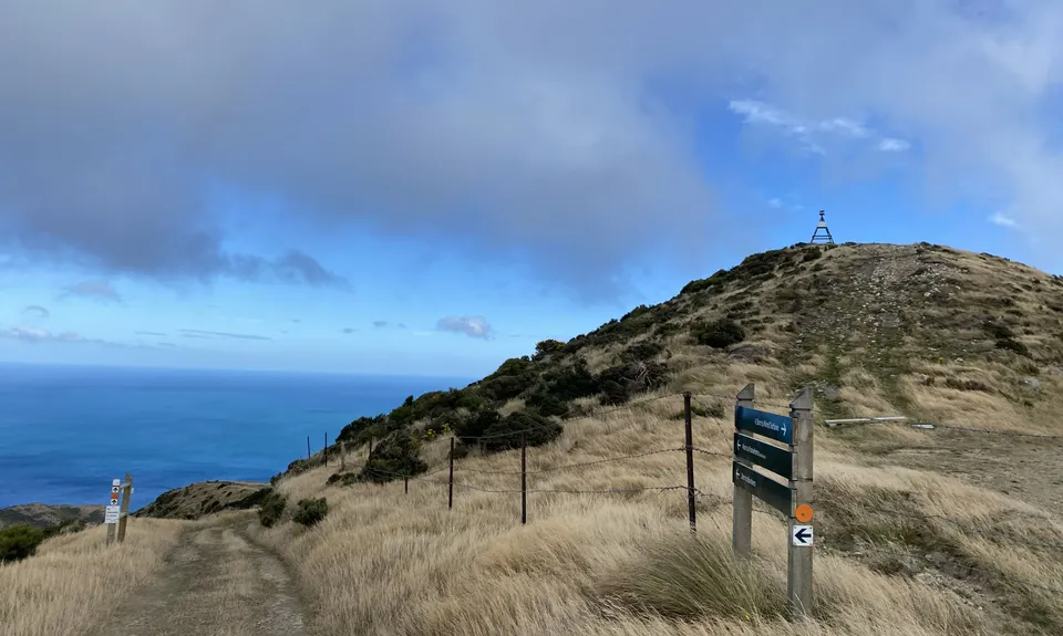 Aro Valley - Red Rocks Thigh Buster, Wellington