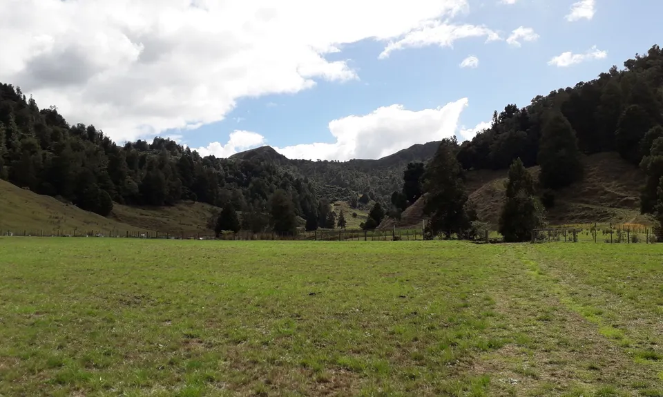Karamu Walkway South, Waikato