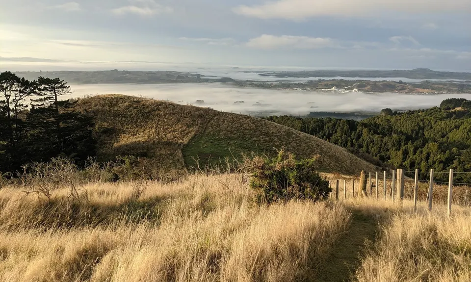 Mt William Wacky Walkway, Auckland