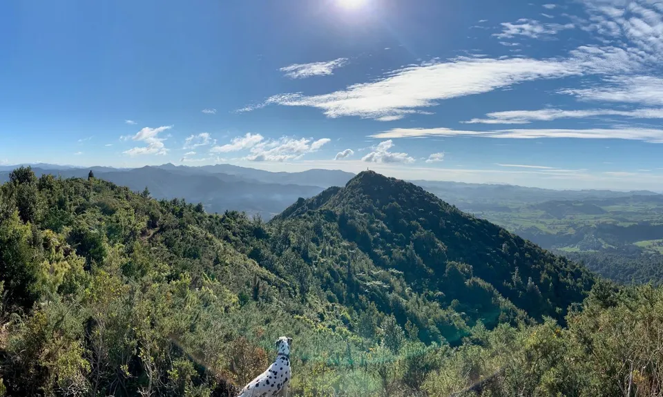 Swingbridges & Tunnels, Waikato