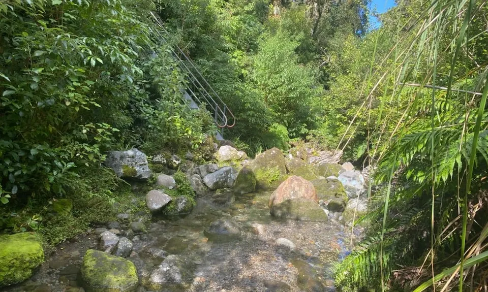 Curtis Falls, Taranaki