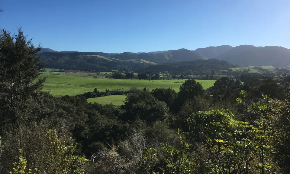 Fensham Reserve Loop, Wellington