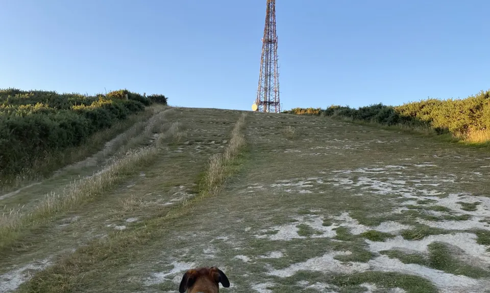 Mount Kaukau Loop, Wellington