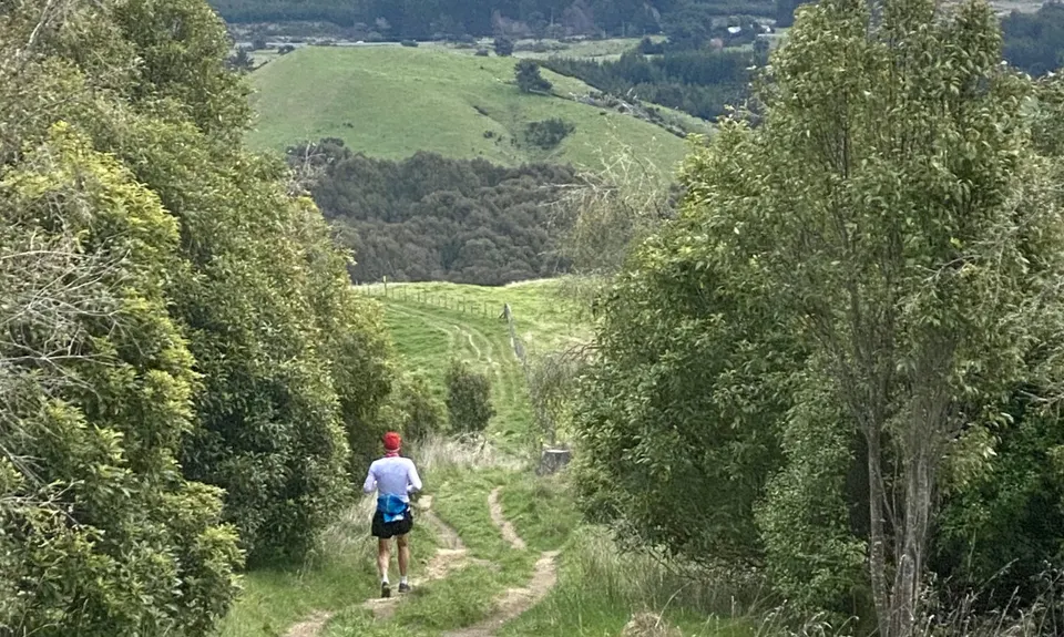 Tauhara Grunt, Waikato