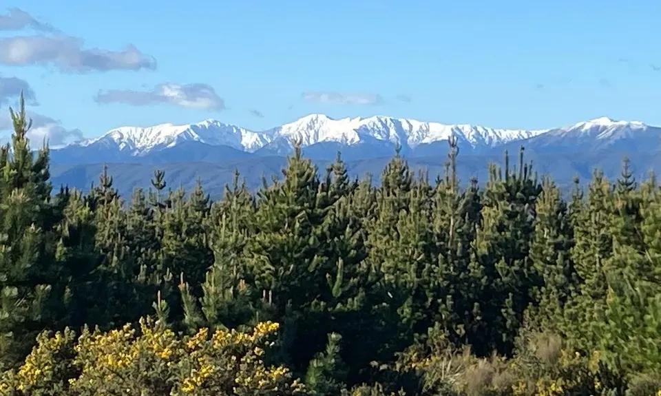 Karapoti Challenge, Wellington