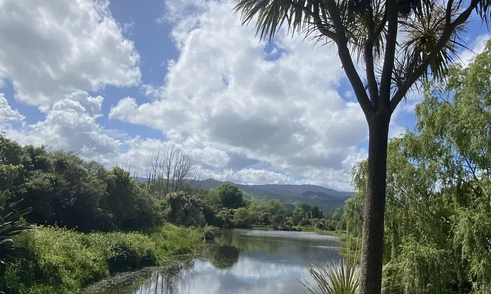 Chrystalls Bend Walkway, Wellington