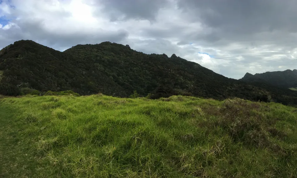 Bream Head Te Whara Trail, Northland