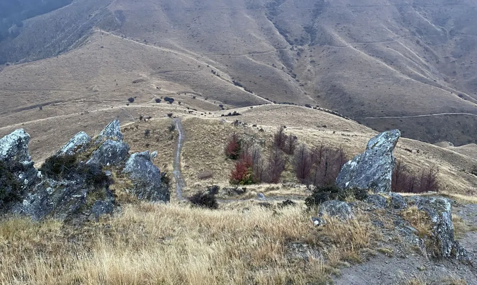 Sawpit Gully - German Hill, Otago