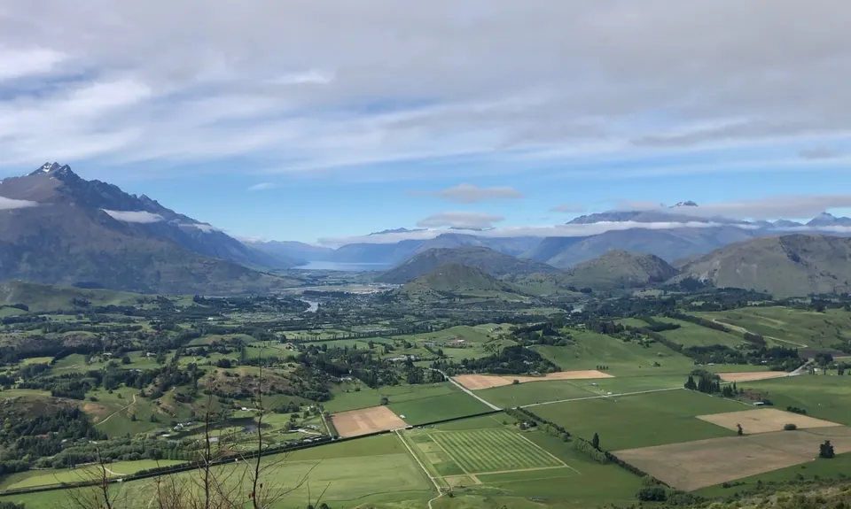 Bush Creek Banger and The Steiger!, Otago
