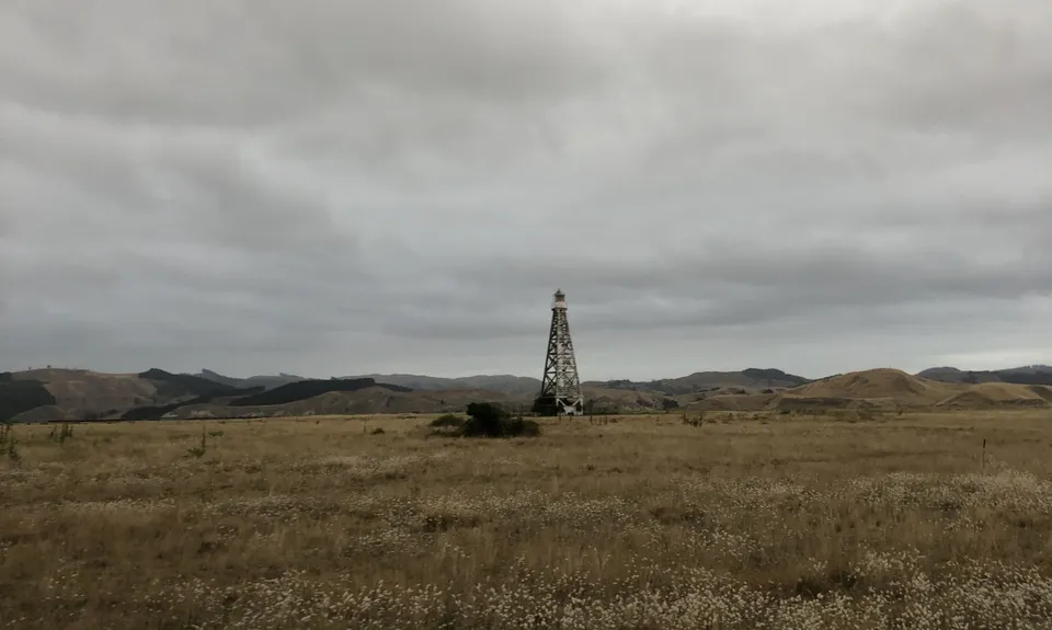 Westshore Flattie, Hawkes Bay