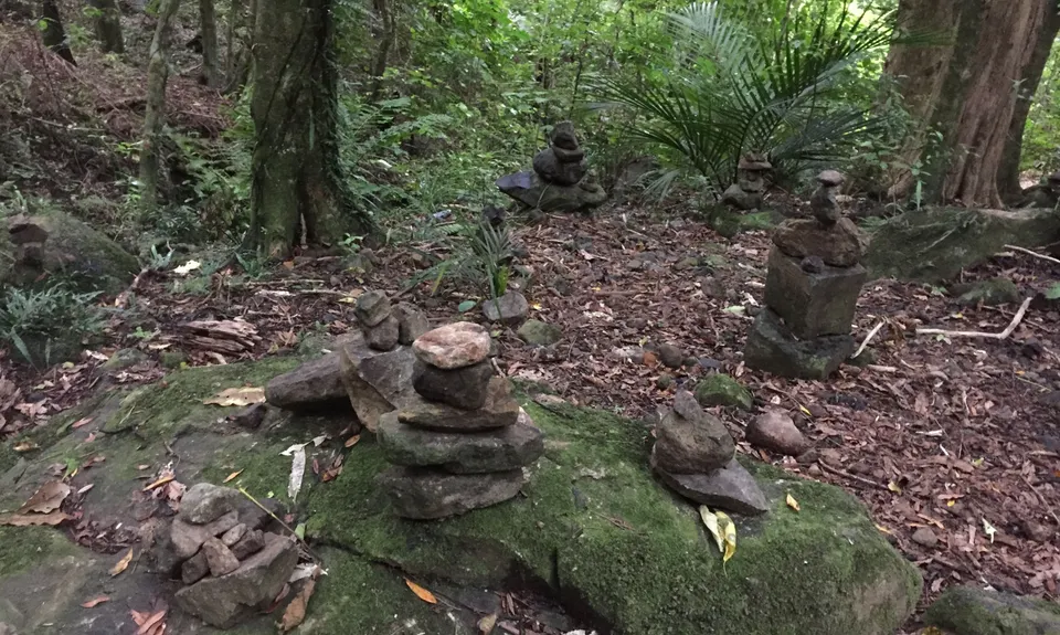 Te Aroha Summit Loop, Waikato