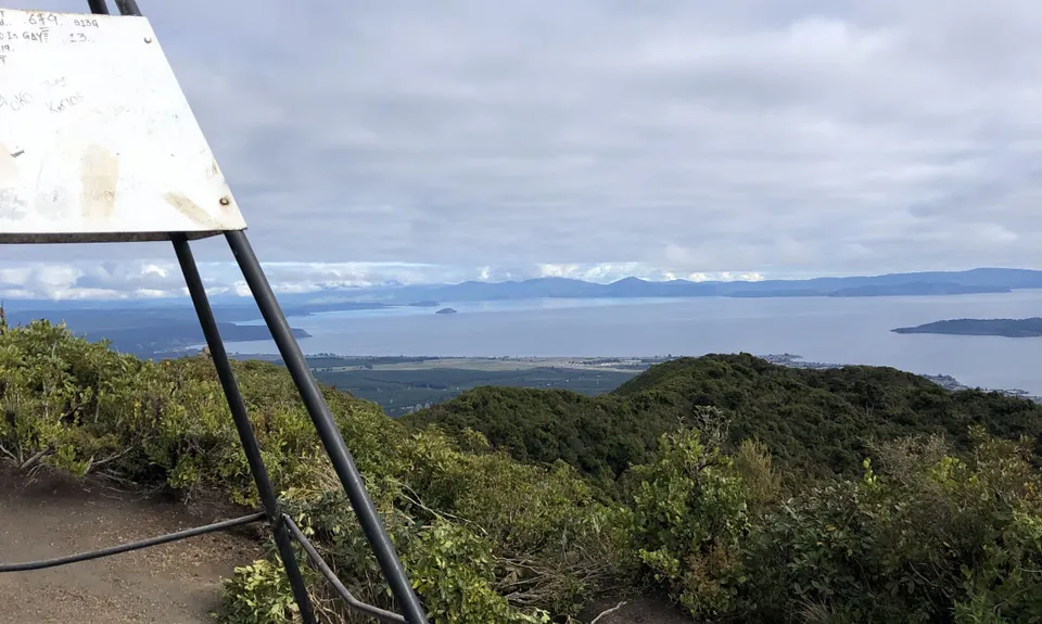 Tauhara Grunt, Waikato