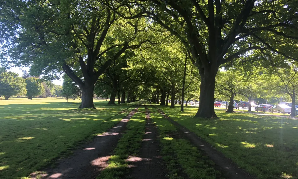 Hagley Perimeter, Canterbury