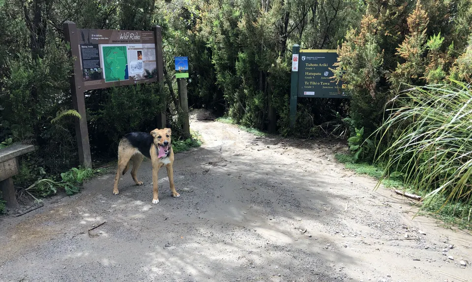 Fat Man's Run, Bay of Plenty