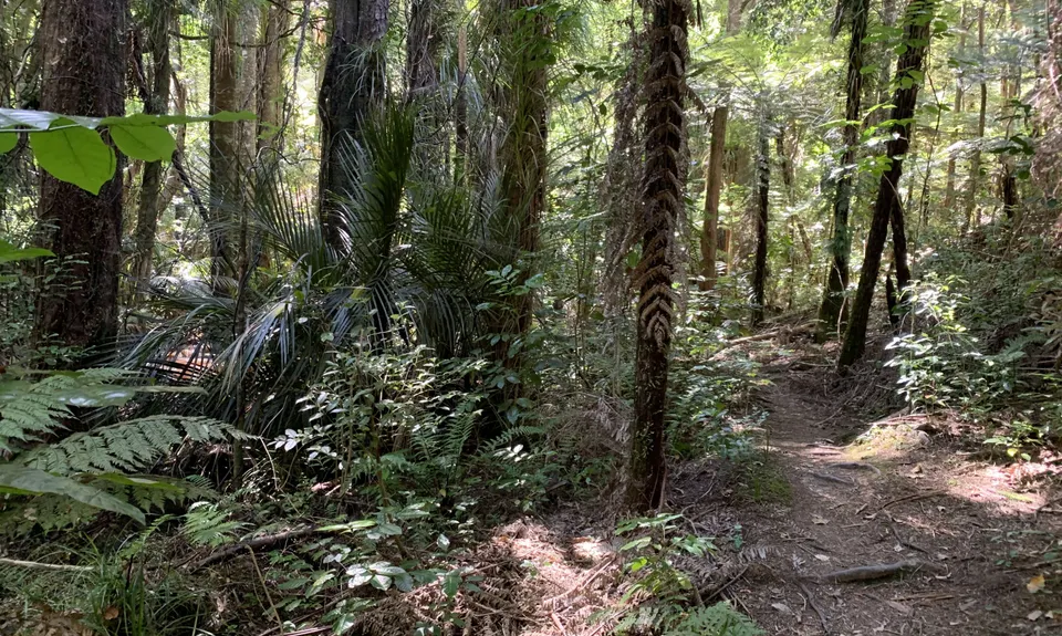 Paihia - Russell Loop, Northland