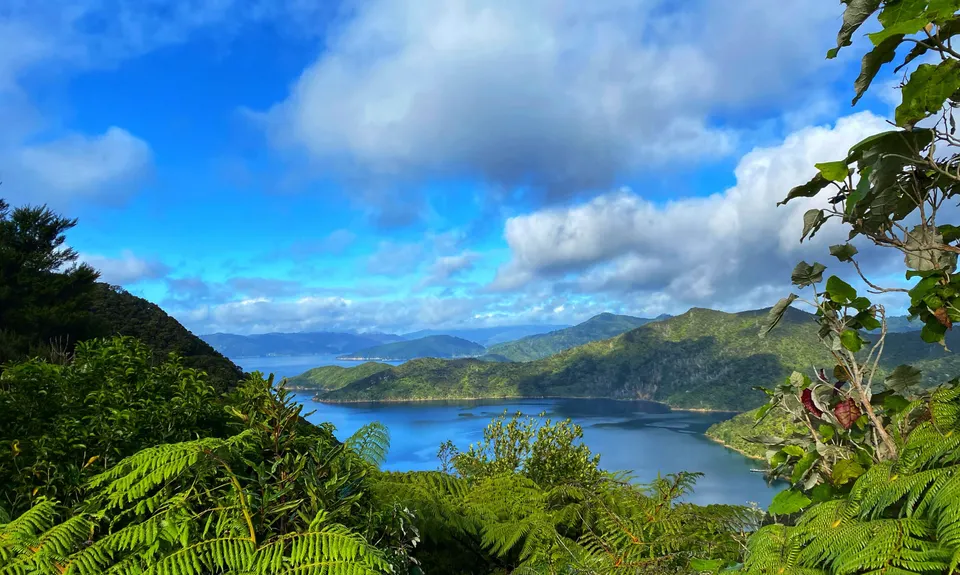Cove to Cove , Marlborough