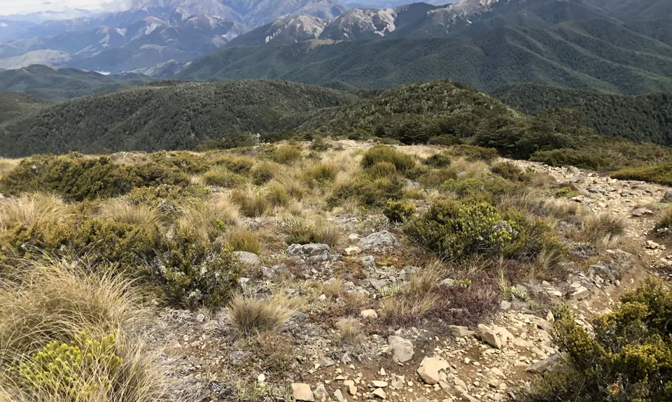 Mt Oxford Half, Canterbury