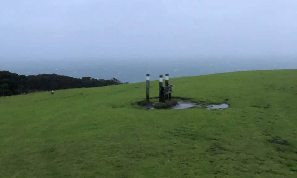 Tawharanui Loops, Auckland