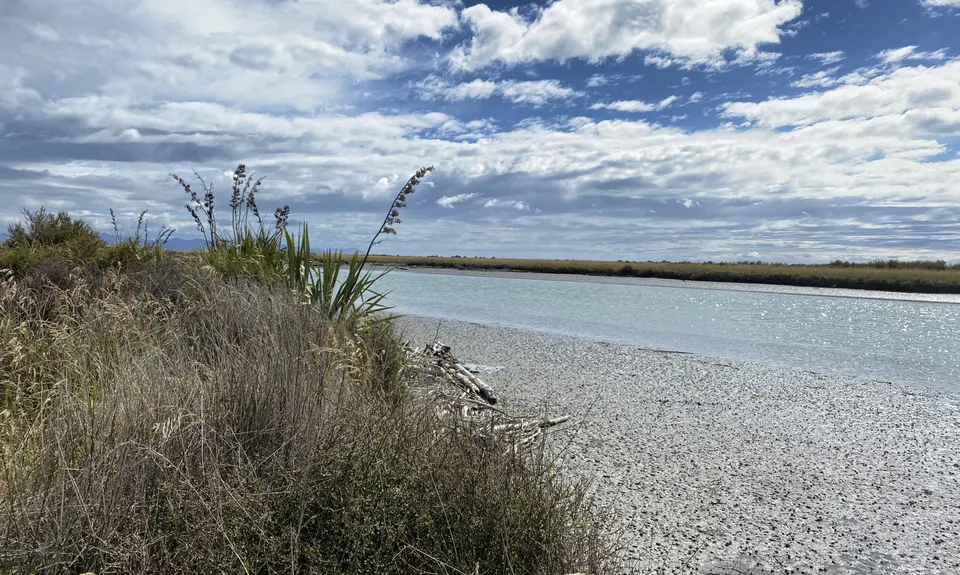 Wairau Lagoons Loop v2, Marlborough