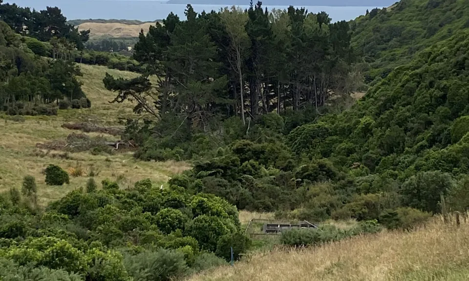 Whararoa Farm Steps, Wellington