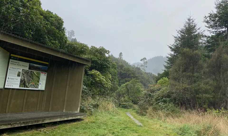 Mangaone Return, Wellington