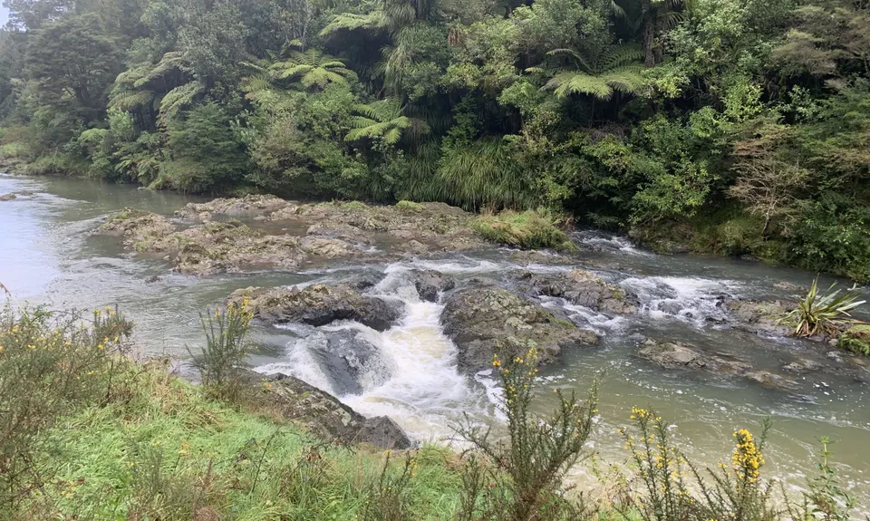 Orum Road/Te Araroa loop, Auckland