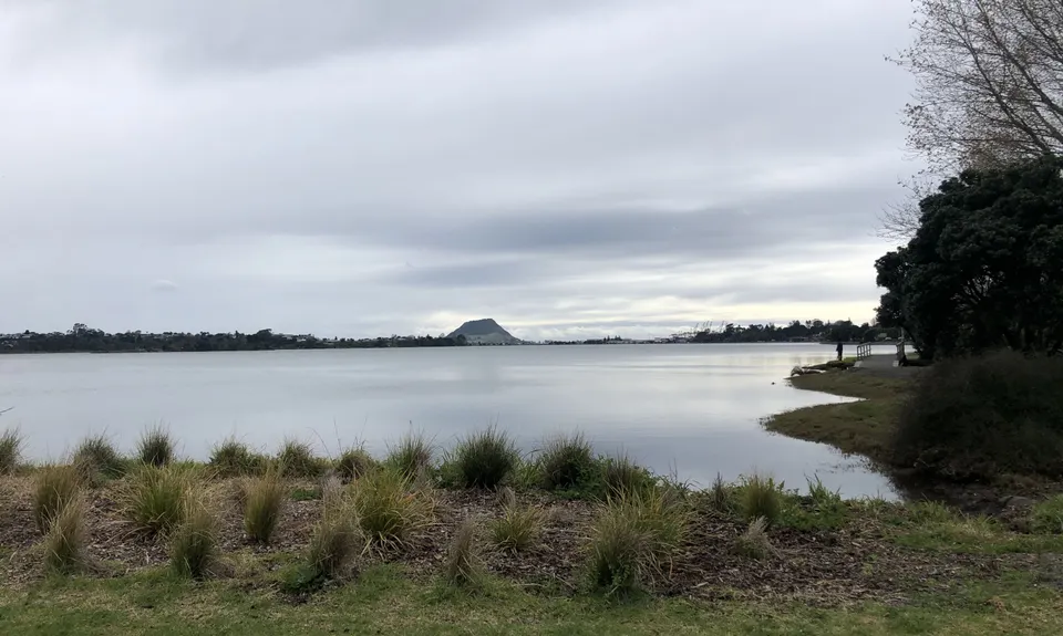 Daisy Hardwick Loop, Bay of Plenty