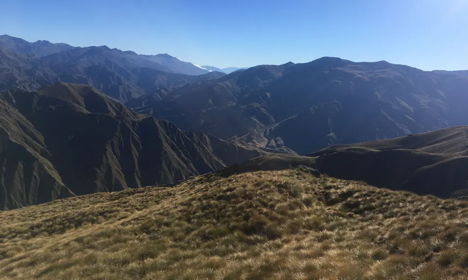 Arrowtown Gold, Otago
