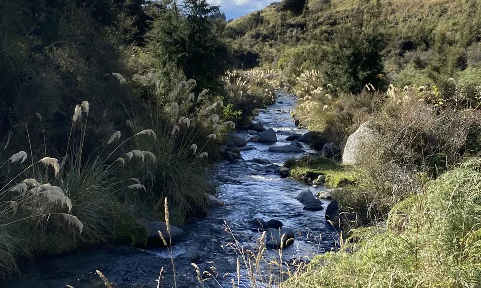 Fern Burn Hut, Otago