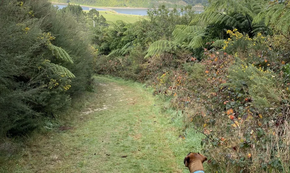 To Rivendell!, Wellington