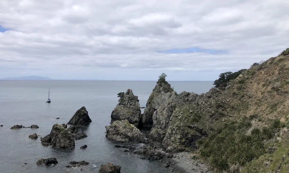 Tawharanui Loops, Auckland