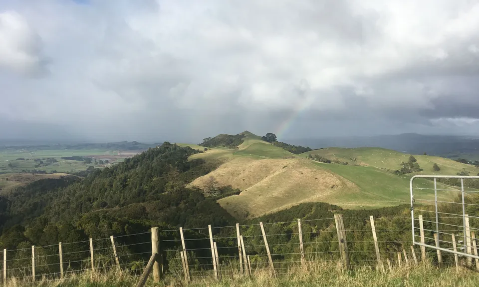 Mt William Wacky Walkway, Auckland